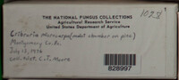 Image Associated With the Occurence